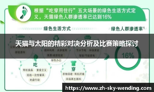 天猫与太阳的精彩对决分析及比赛策略探讨